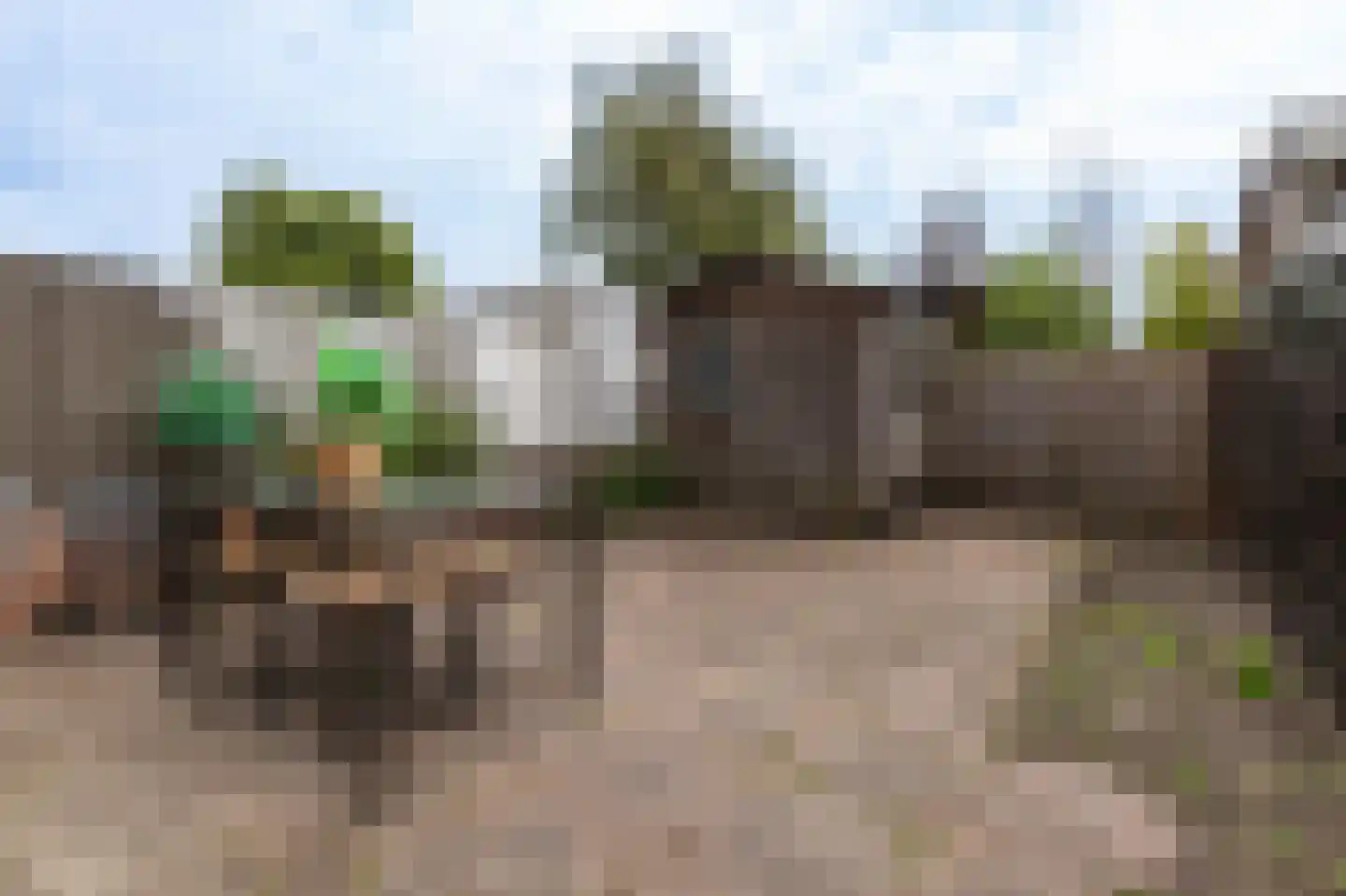 Parelduiker 41 Noordwijk thumbnail 8