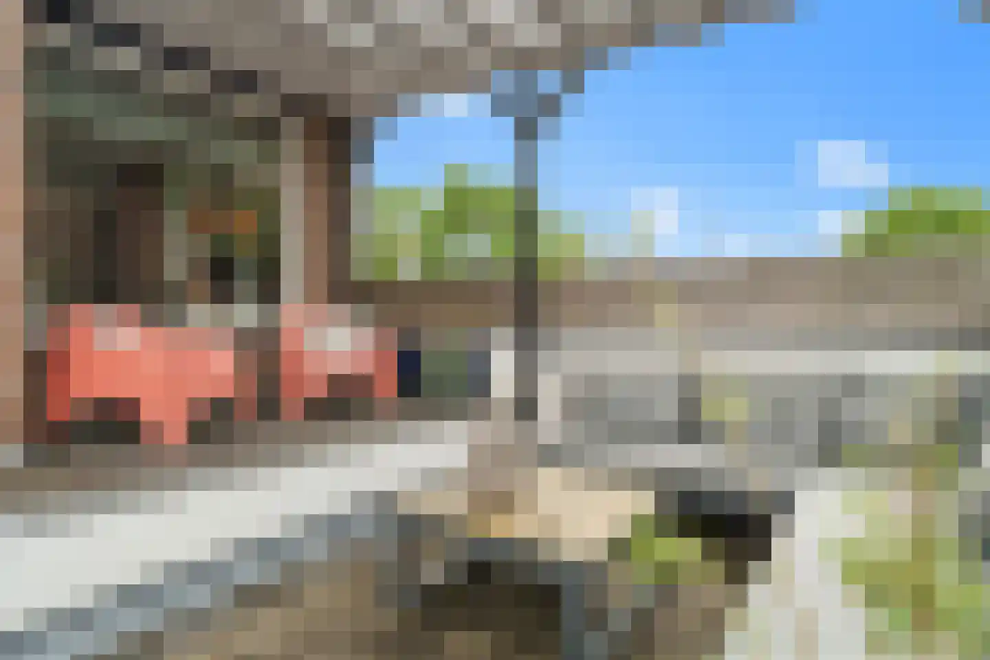 Parelduiker 44 Nieuwegein thumbnail 23