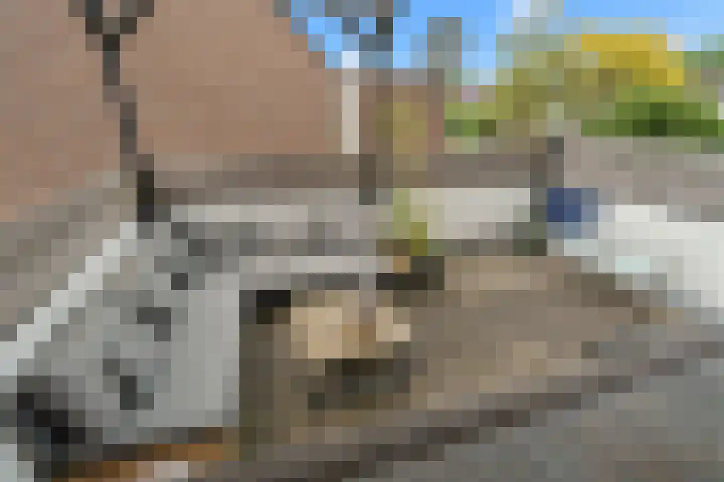 Parelduiker 44 Nieuwegein thumbnail 24