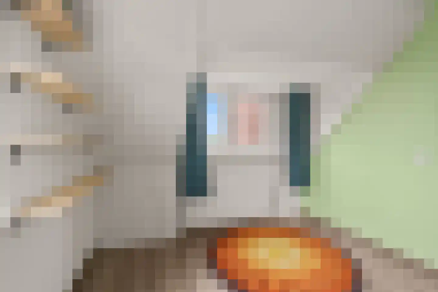 Parelduiker 44 Nieuwegein thumbnail 32