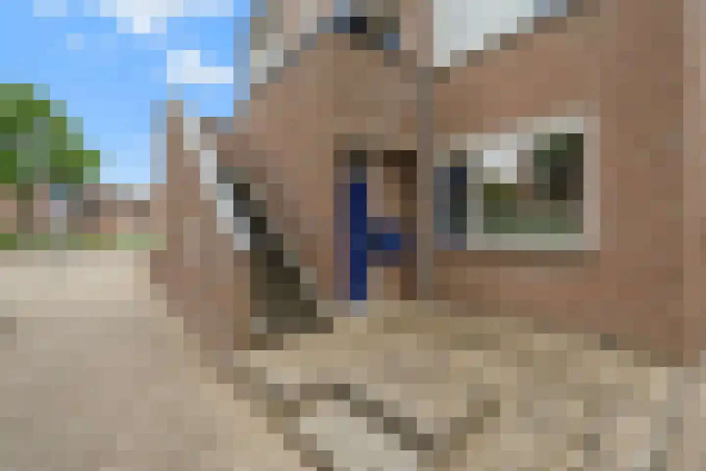 Parelduiker 44 Nieuwegein thumbnail 7