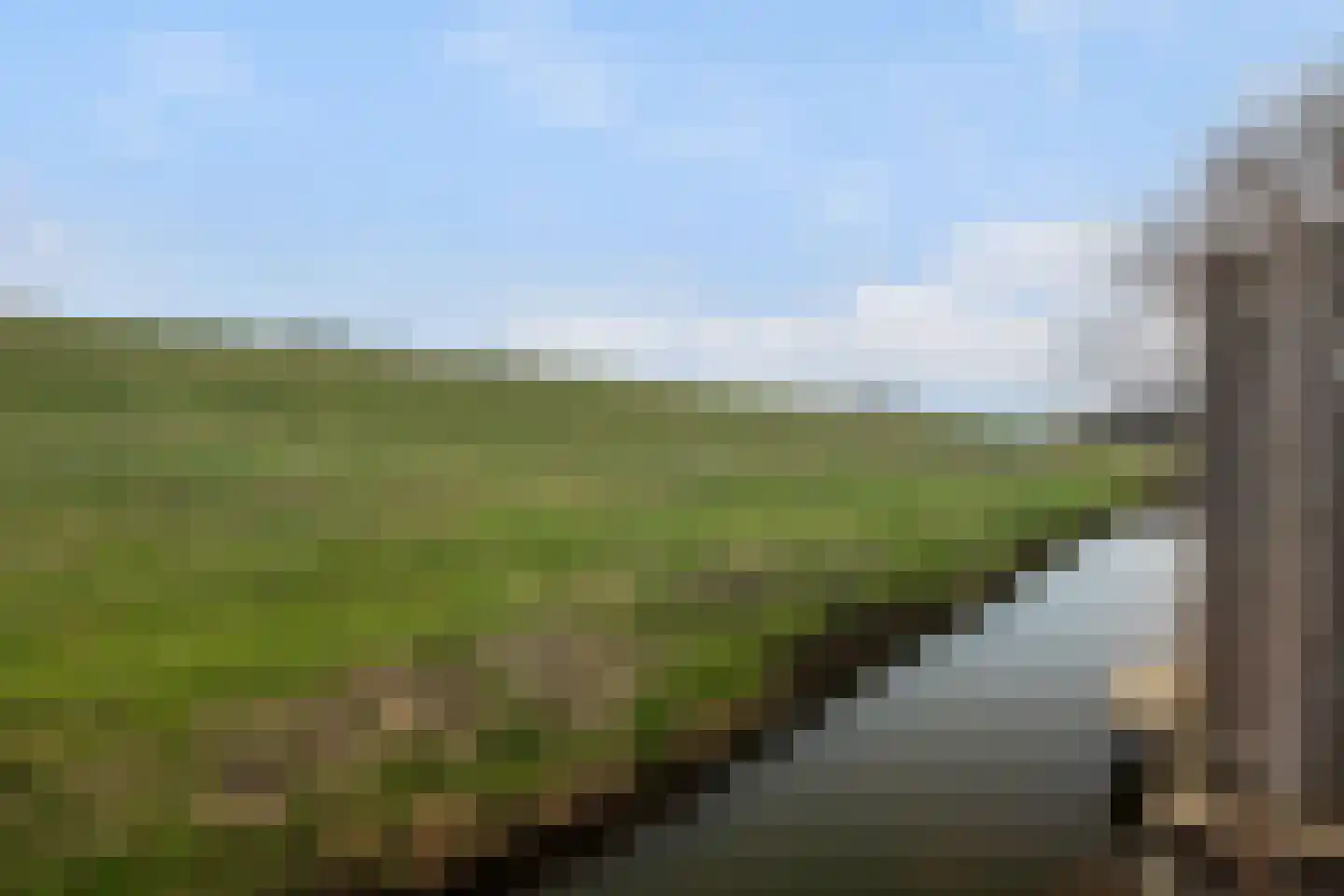 Parelduiker 60 Monster thumbnail 34