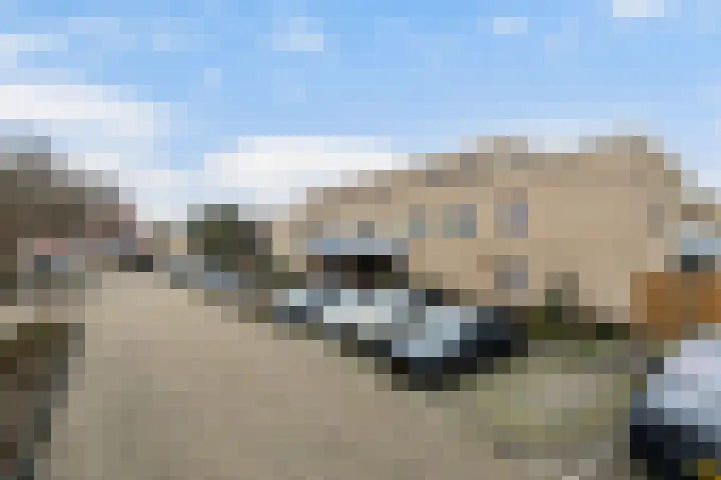 Parelduiker 60 Monster thumbnail 7