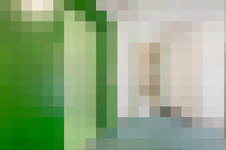 Parelduiker 64 Capelle aan den IJssel thumbnail 15