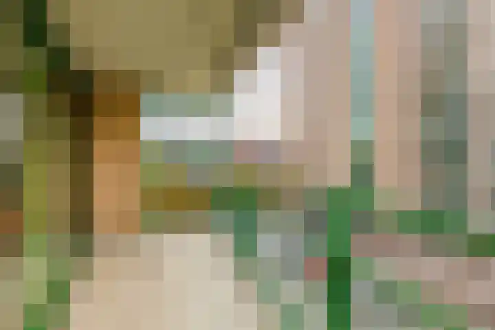 Parelduiker 64 Capelle aan den IJssel thumbnail 30