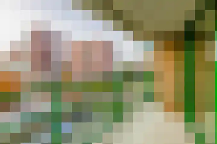 Parelduiker 64 Capelle aan den IJssel thumbnail 4