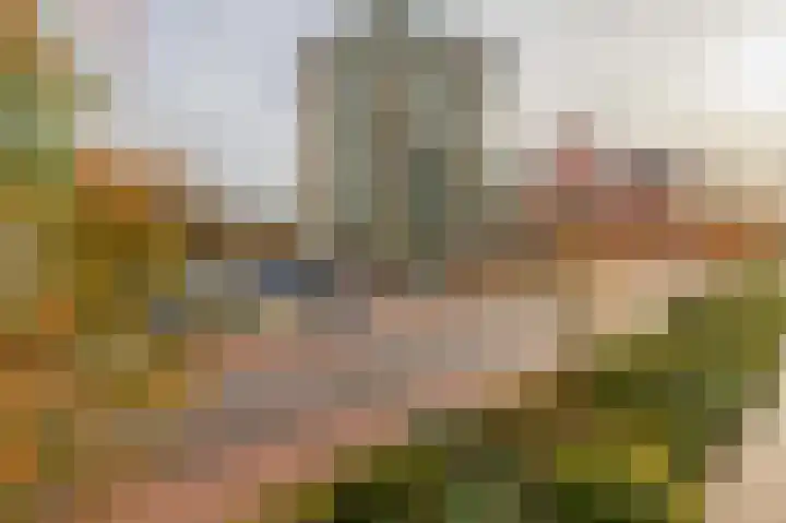 Parelduiker 64 Capelle aan den IJssel thumbnail 6
