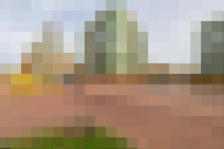 Parelduiker 64 Capelle aan den IJssel thumbnail 7