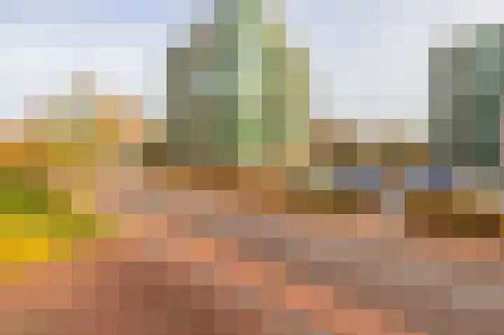 Parelduiker 64 Capelle aan den IJssel thumbnail 8