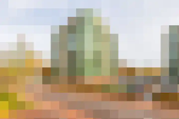 Parelduiker 64 Capelle aan den IJssel thumbnail 9
