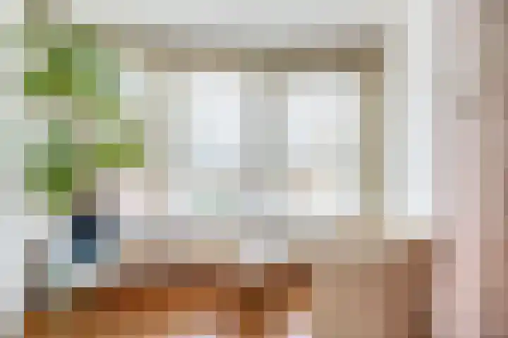 Parelduiker 76 Capelle aan den IJssel thumbnail 17