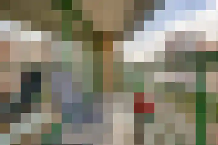 Parelduiker 76 Capelle aan den IJssel thumbnail 22