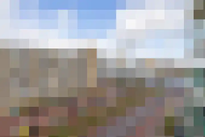Parelduiker 76 Capelle aan den IJssel thumbnail 23