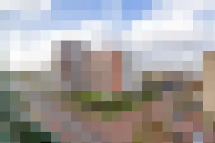 Parelduiker 76 Capelle aan den IJssel thumbnail 24