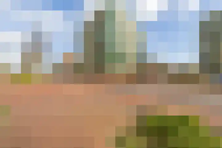 Parelduiker 76 Capelle aan den IJssel thumbnail 31
