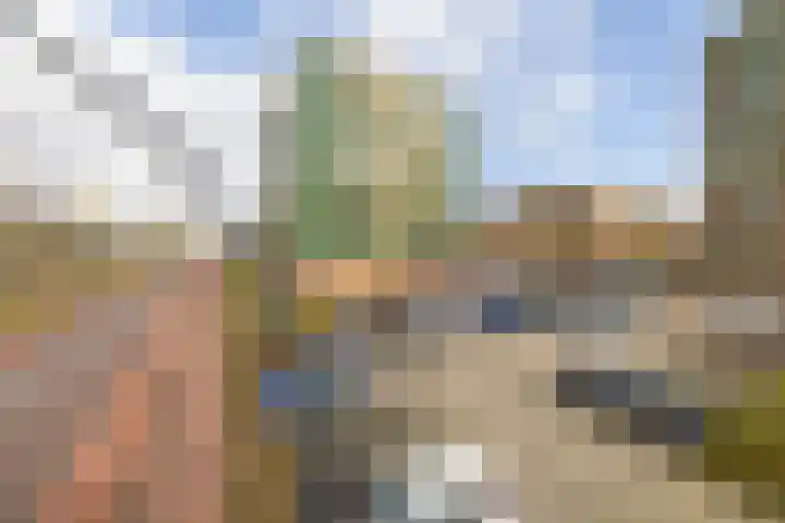 Parelduiker 76 Capelle aan den IJssel thumbnail 33