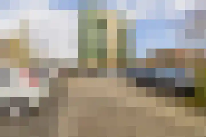 Parelduiker 76 Capelle aan den IJssel thumbnail 34