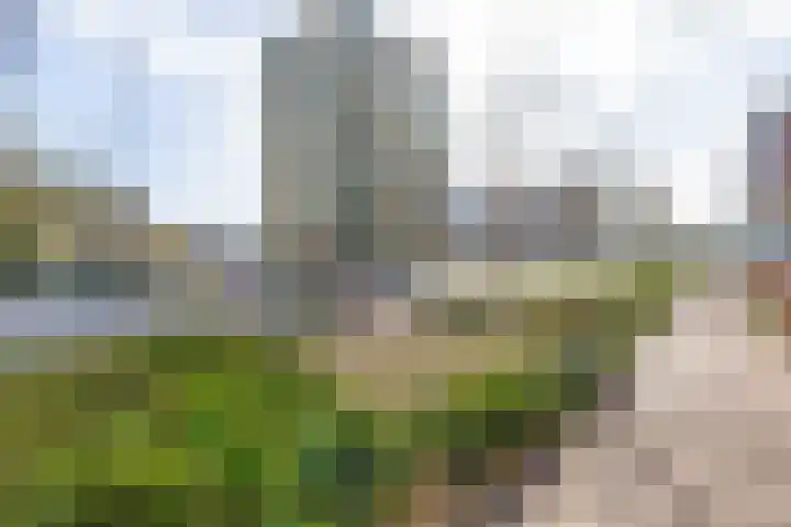 Parelduiker 76 Capelle aan den IJssel thumbnail 36