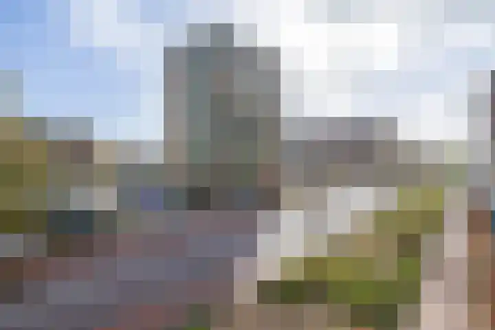 Parelduiker 76 Capelle aan den IJssel thumbnail 37