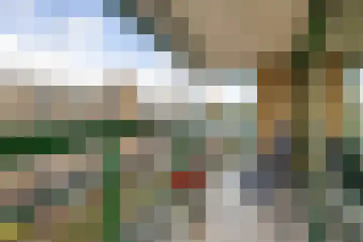 Parelduiker 76 Capelle aan den IJssel thumbnail 4