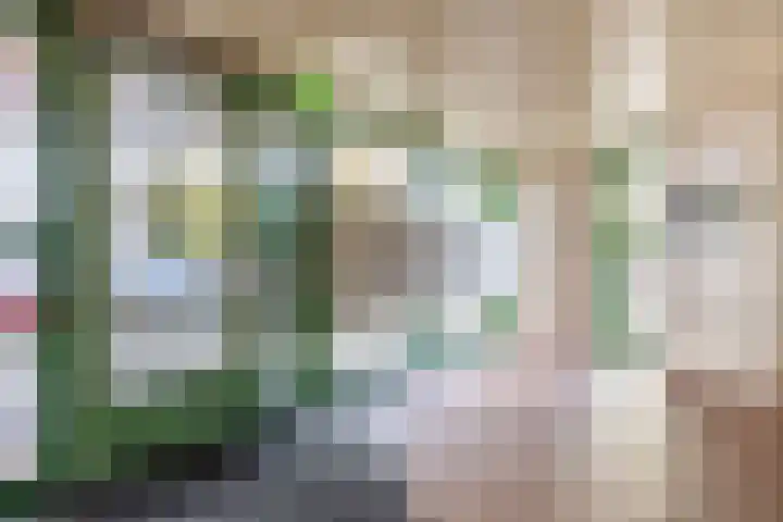 Parelduiker 76 Capelle aan den IJssel thumbnail 6