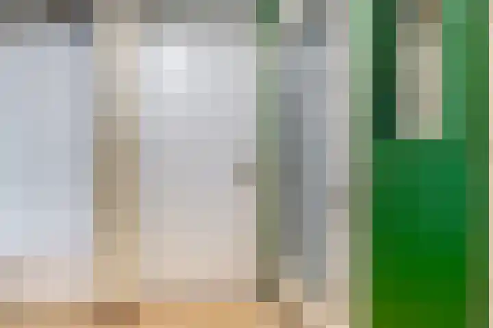 Parelduiker 76 Capelle aan den IJssel thumbnail 8