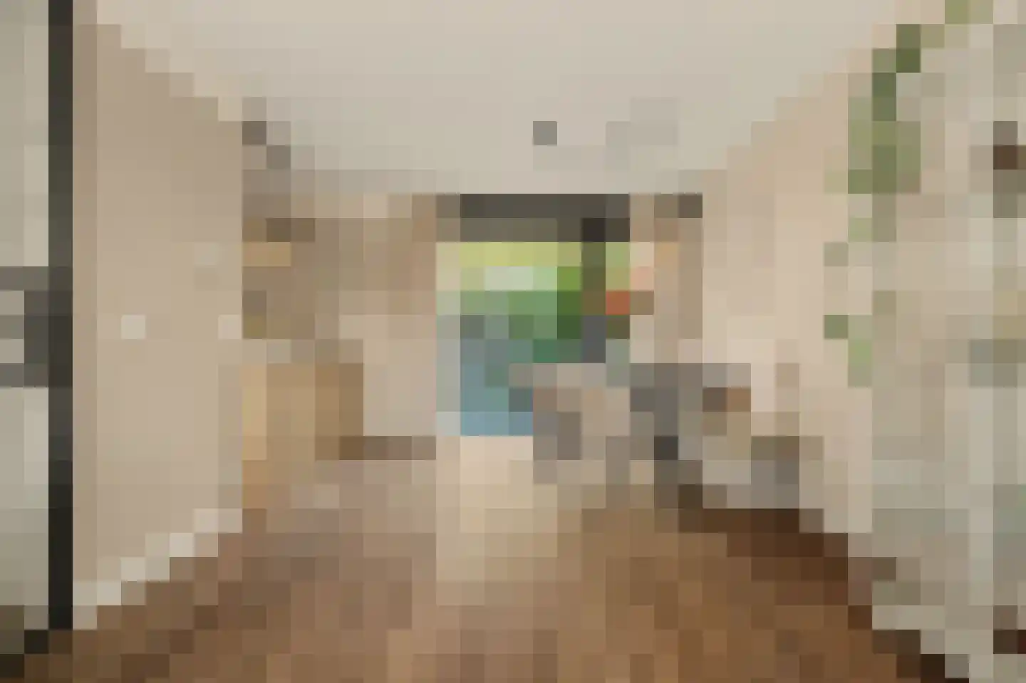 Parelduikerhof 13 Middelburg thumbnail 11