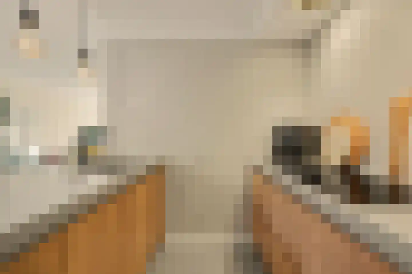 Parelduikerhof 13 Middelburg thumbnail 15