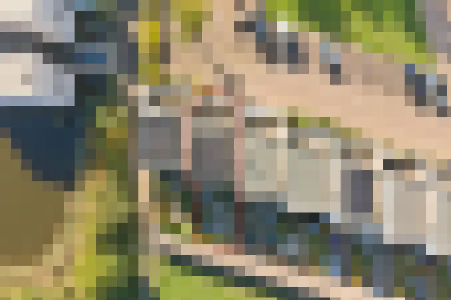 Parelduikerhof 13 Middelburg thumbnail 42