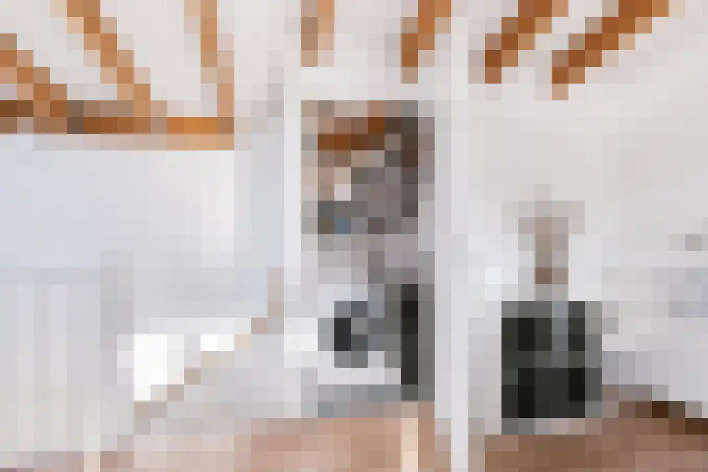 Parelduikerhof 14 Middelburg thumbnail 34