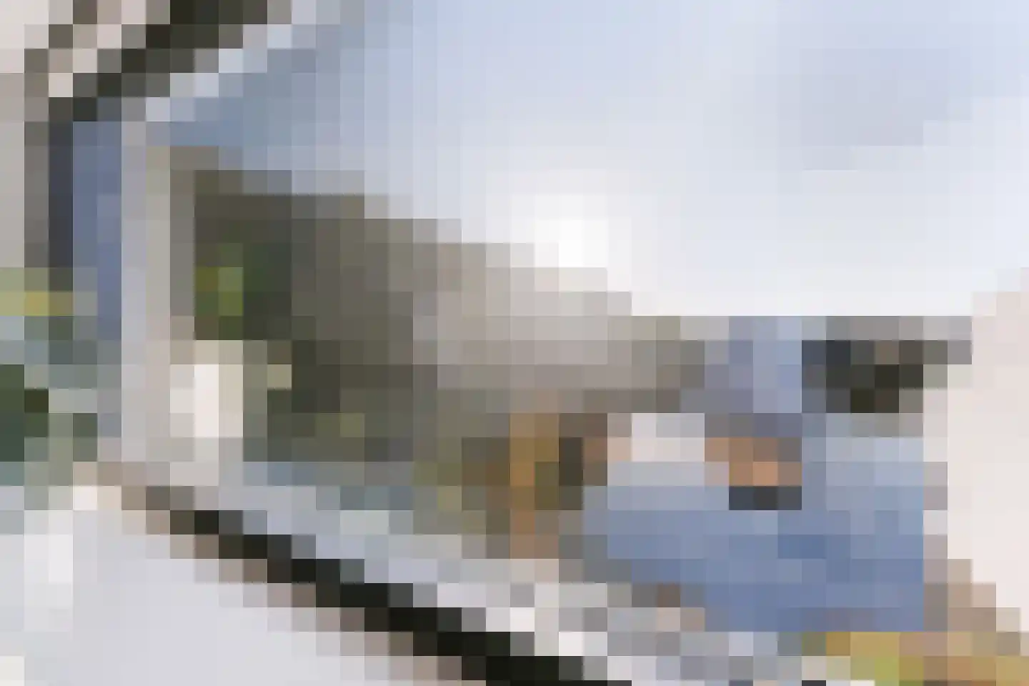 Parelduikerhof 14 Middelburg thumbnail 35
