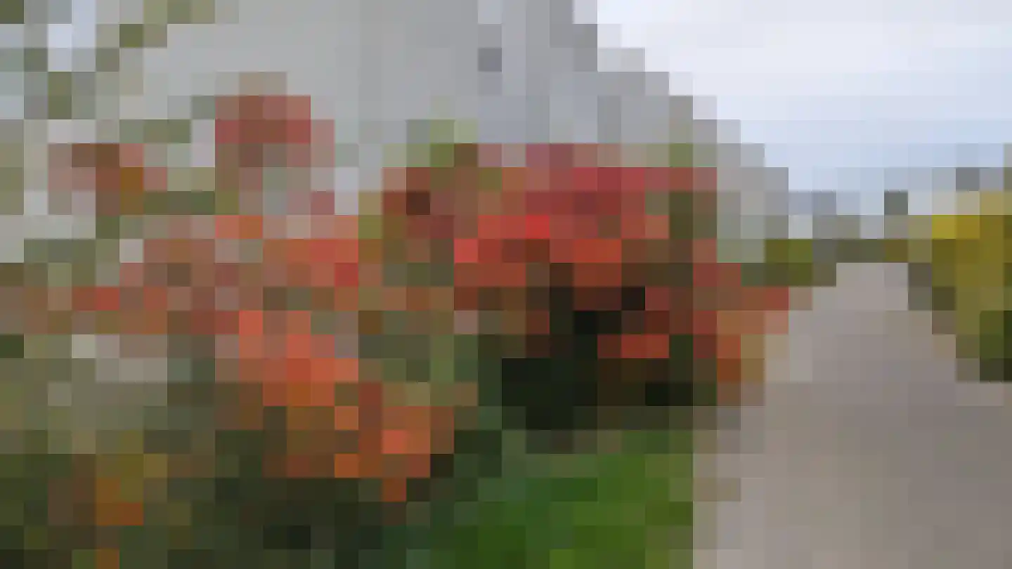 Parelduikerhof 14 Middelburg thumbnail 38