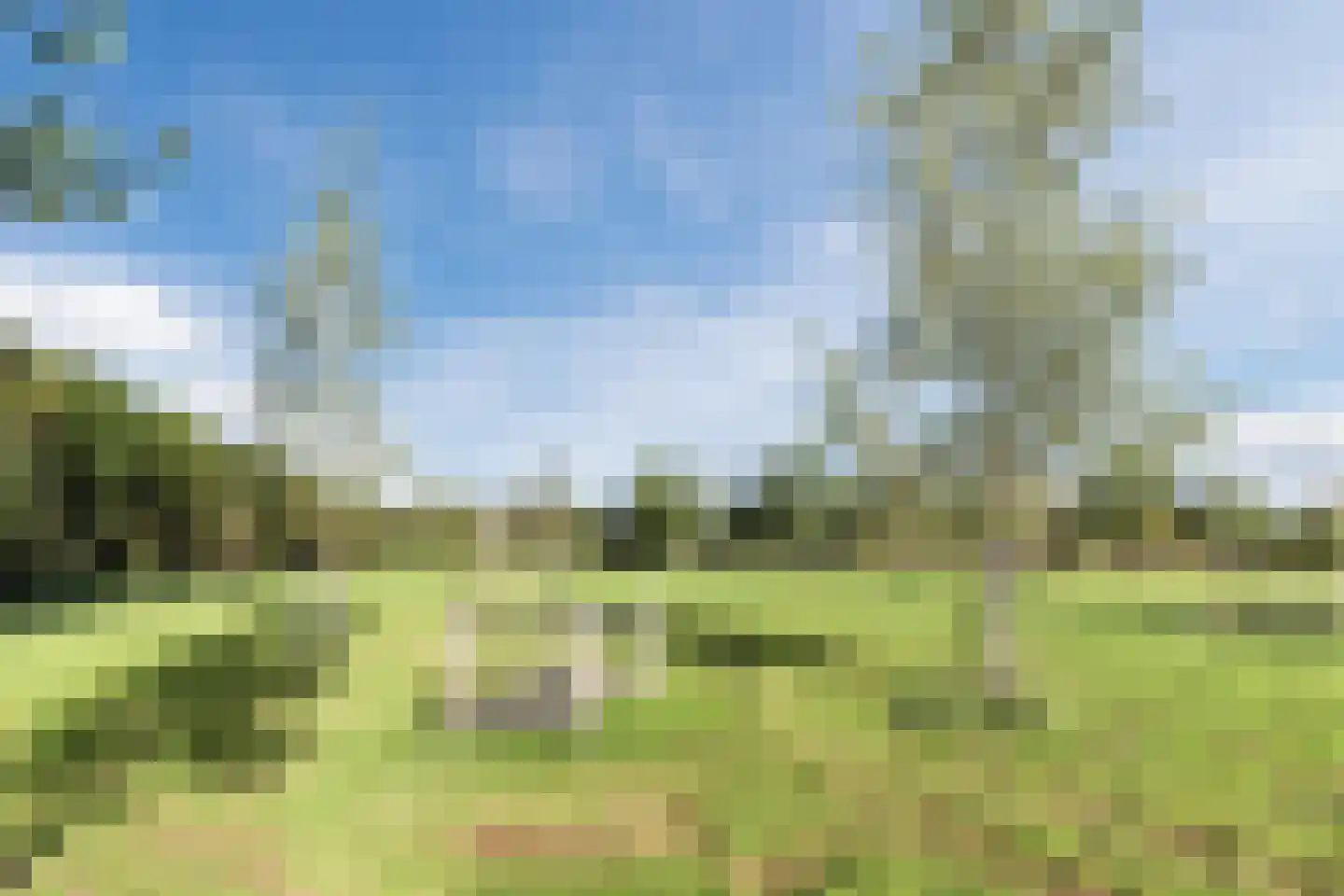 Parelduikerhof 14 Middelburg thumbnail 39