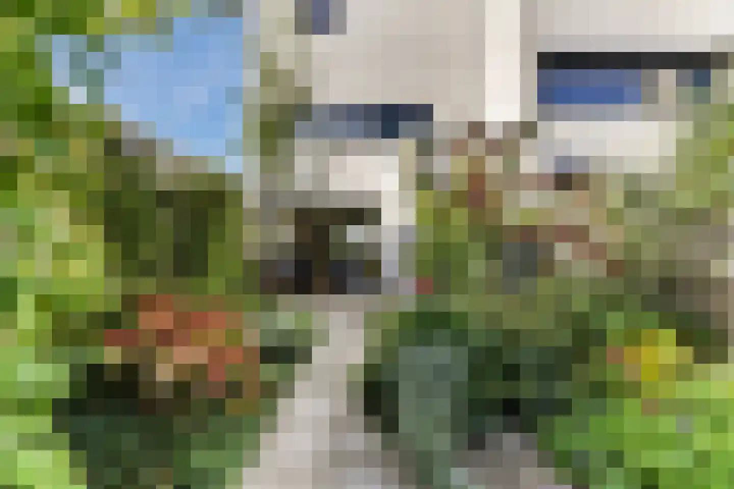 Parelduikerhof 14 Middelburg thumbnail 4
