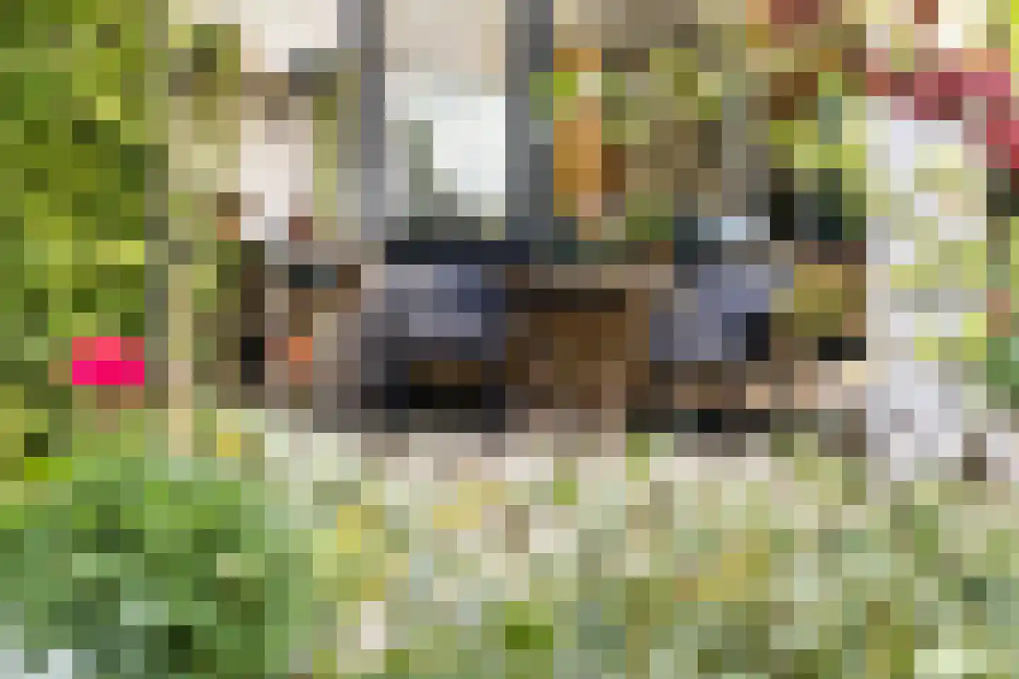 Parelduikerhof 14 Middelburg thumbnail 5