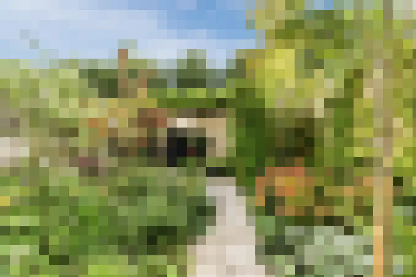 Parelduikerhof 14 Middelburg thumbnail 6