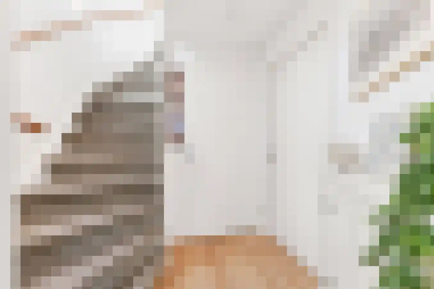 Parelduikerhof 14 Middelburg thumbnail 7
