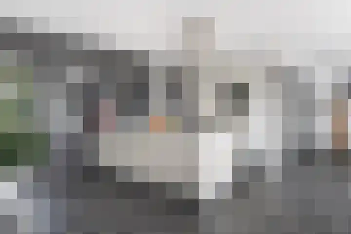 Parelduikerhof 22 Middelburg thumbnail 10