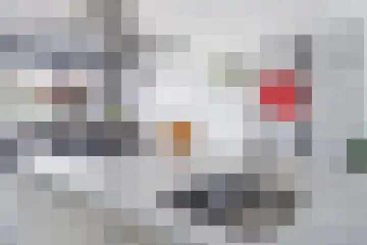 Parelduikerhof 22 Middelburg thumbnail 13