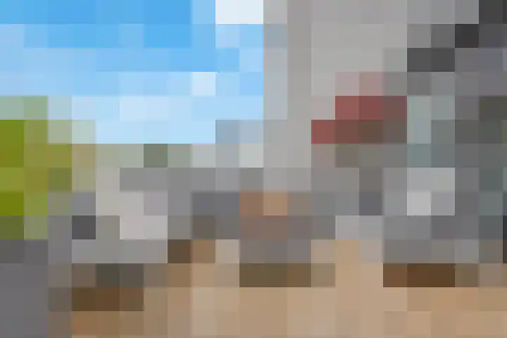 Parelduikerhof 22 Middelburg thumbnail 15