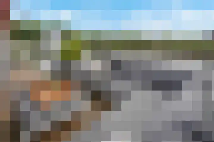Parelduikerhof 22 Middelburg thumbnail 16