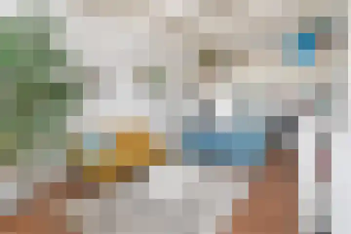 Parelduikerhof 22 Middelburg thumbnail 36