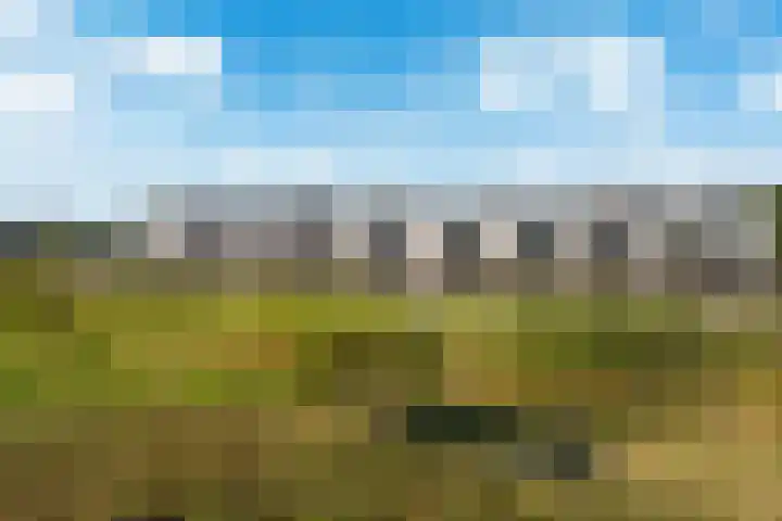 Parelduikerhof 22 Middelburg thumbnail 4