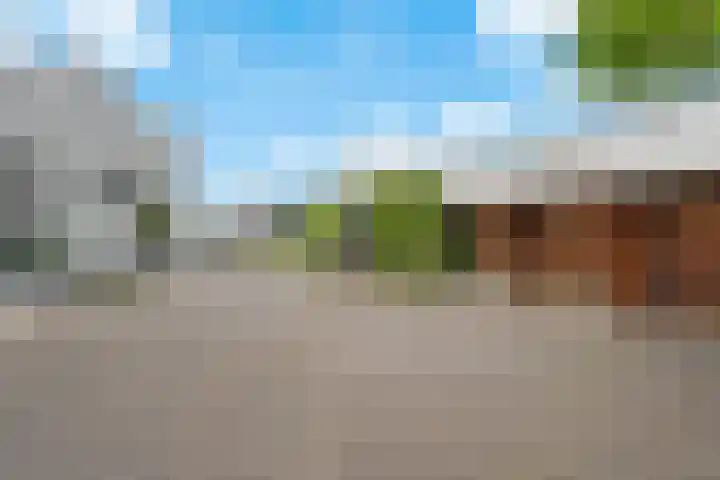 Parelduikerhof 22 Middelburg thumbnail 40