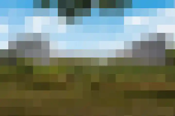 Parelduikerhof 22 Middelburg thumbnail 45