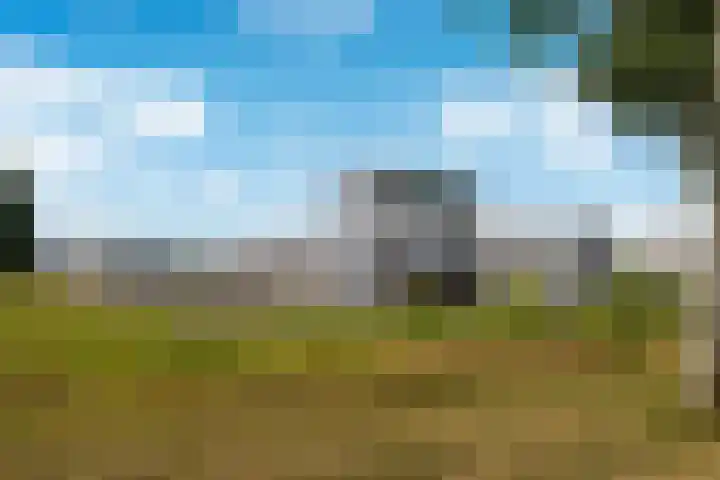 Parelduikerhof 22 Middelburg thumbnail 46