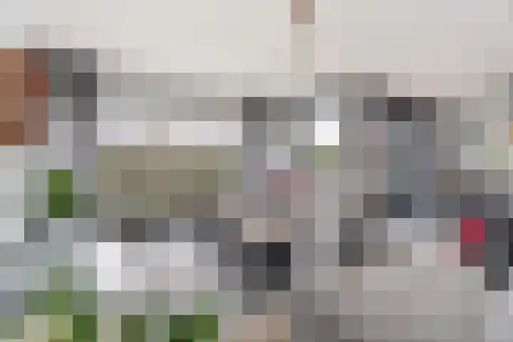 Parelduikerhof 22 Middelburg thumbnail 6