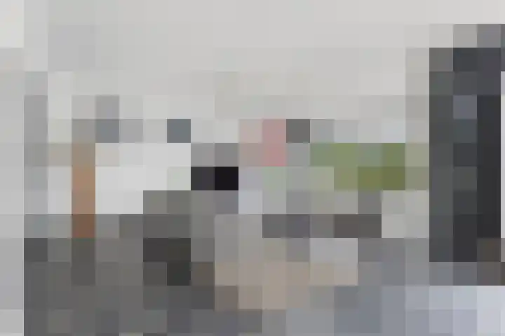 Parelduikerhof 22 Middelburg thumbnail 7
