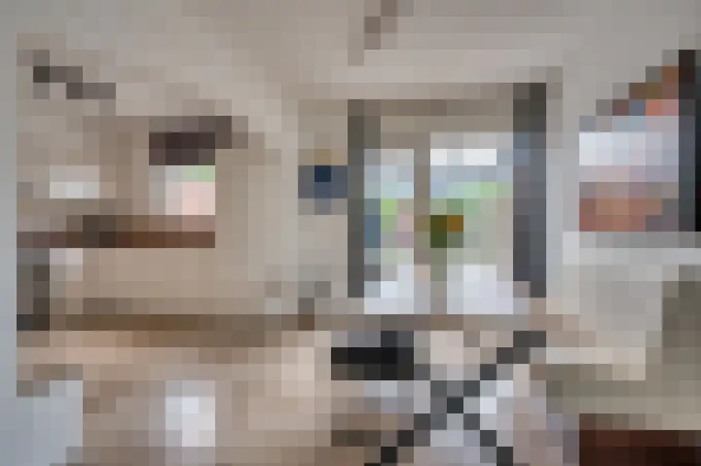 Parelduikerstraat 43 Venlo thumbnail 5