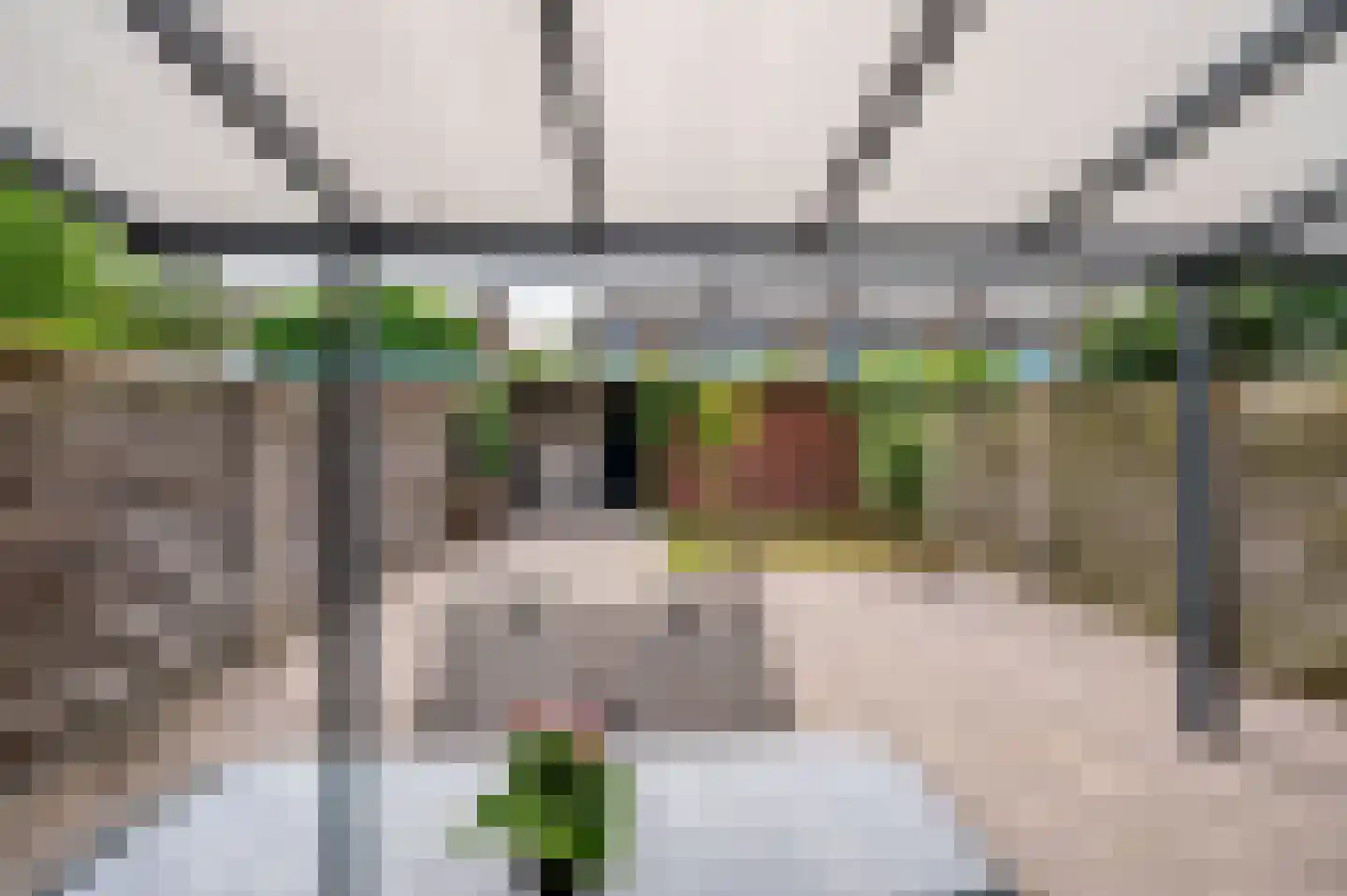 Parelduikerstraat 43 Venlo thumbnail 6